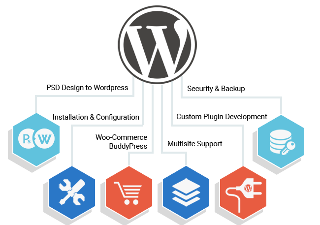 Wordpress Website Development